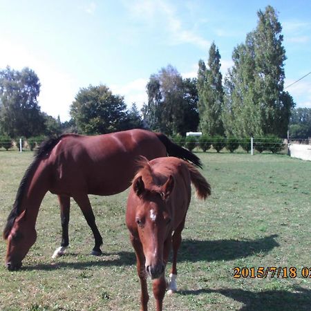 La Vieux Ville Trégomeur Zewnętrze zdjęcie