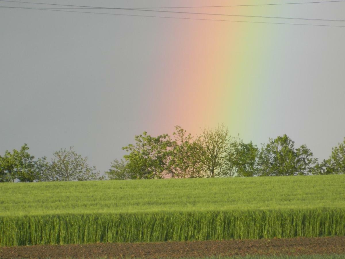 La Vieux Ville Trégomeur Zewnętrze zdjęcie